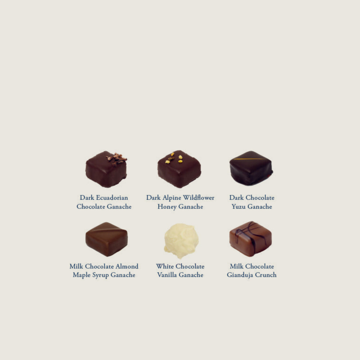 Mini Cat that Got the Cream Chocolate Collection - Limited Edition