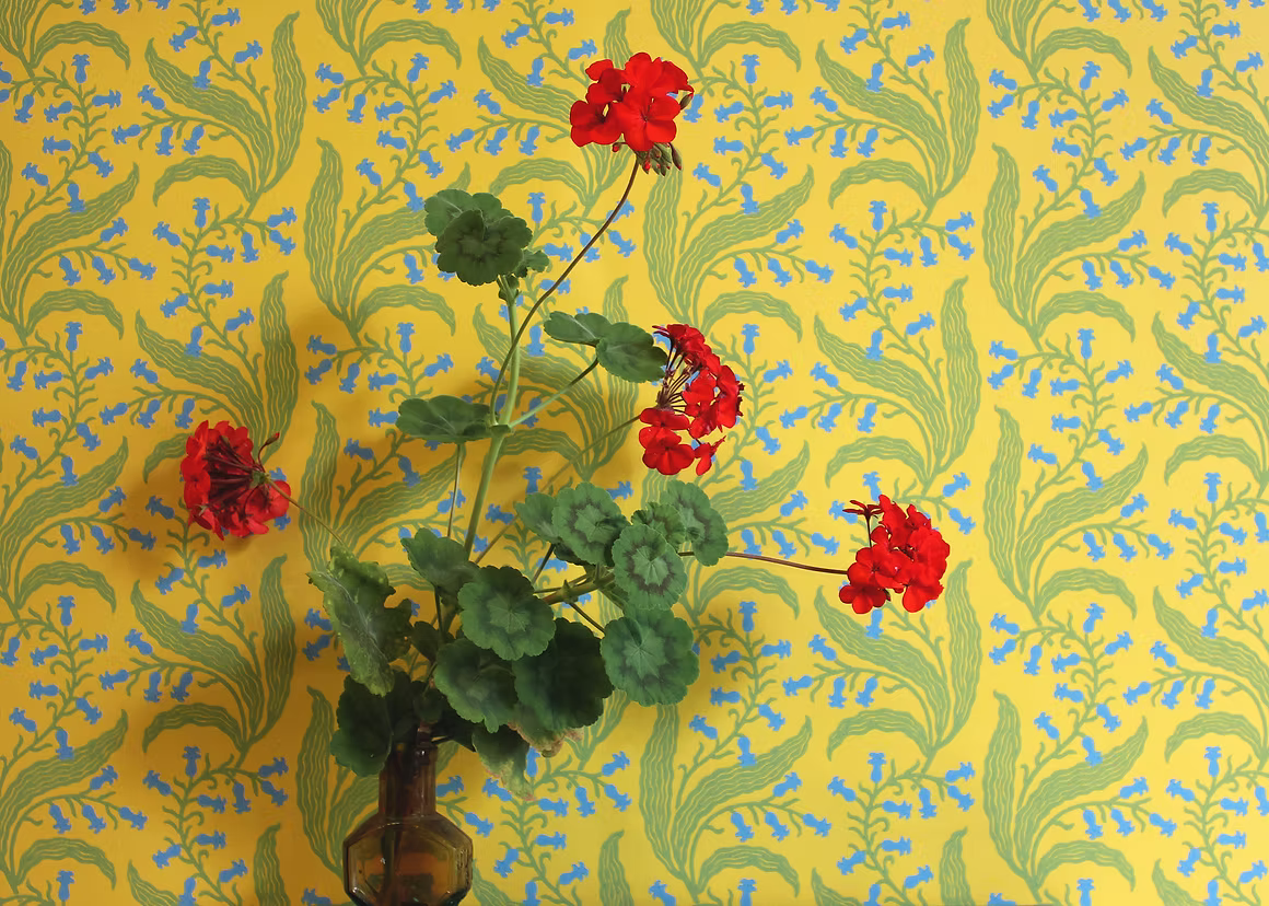 Bluebells Wallpaper - Butter