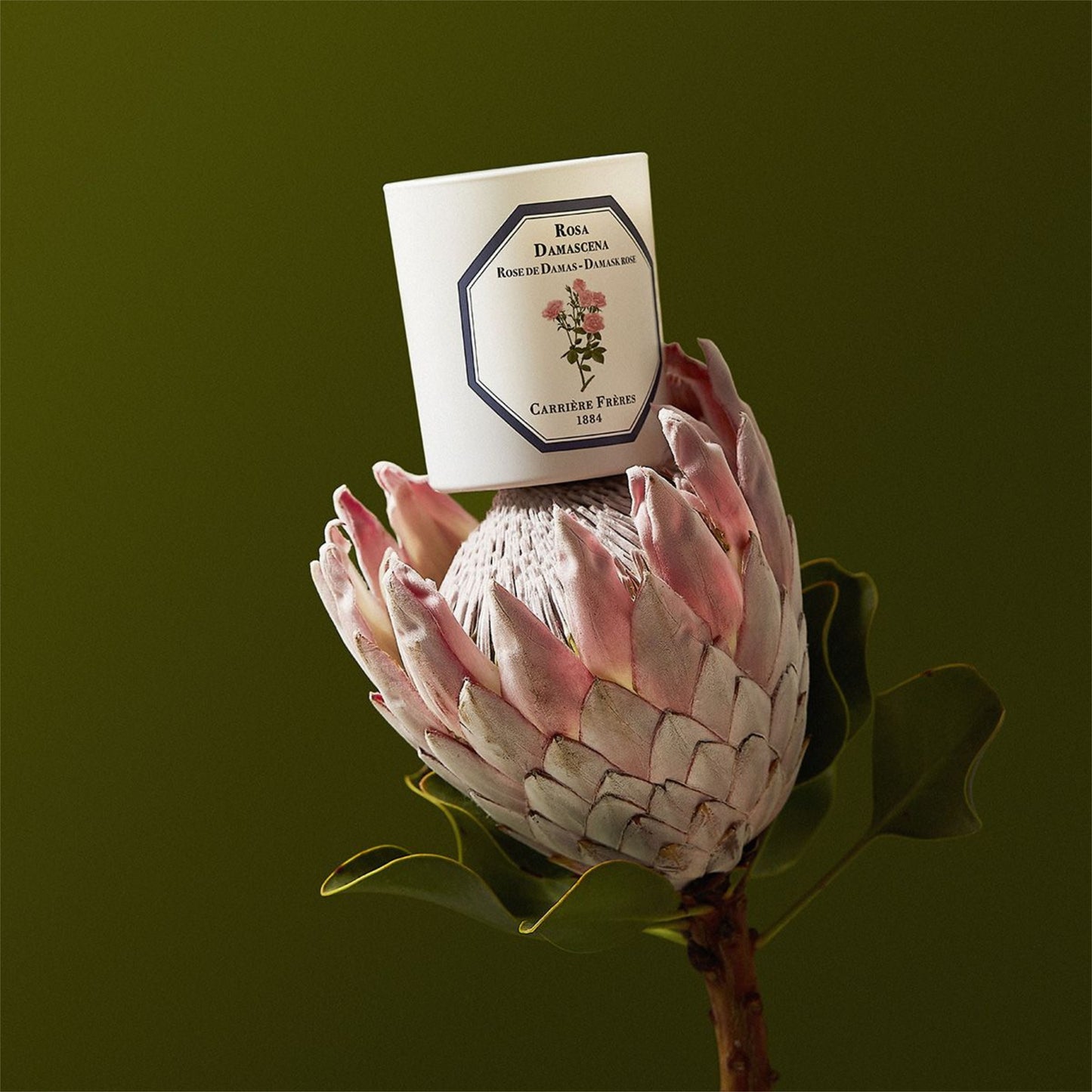 Damask Rose Candle