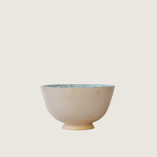 Aqua Spotted Interior Bowl